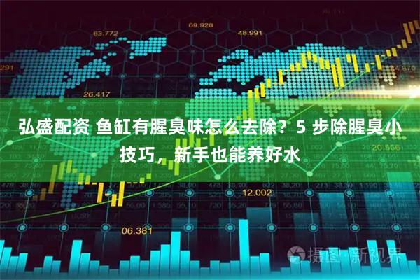弘盛配资 鱼缸有腥臭味怎么去除？5 步除腥臭小技巧，新手也能养好水