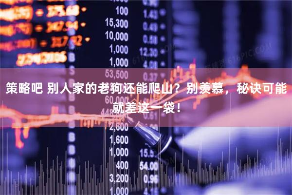策略吧 别人家的老狗还能爬山？别羡慕，秘诀可能就差这一袋！