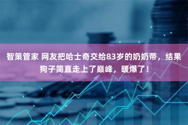 智策管家 网友把哈士奇交给83岁的奶奶带，结果狗子简直走上了巅峰，暖爆了！