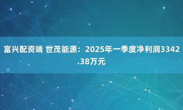 富兴配资端 世茂能源：2025年一季度净利润3342.38万元