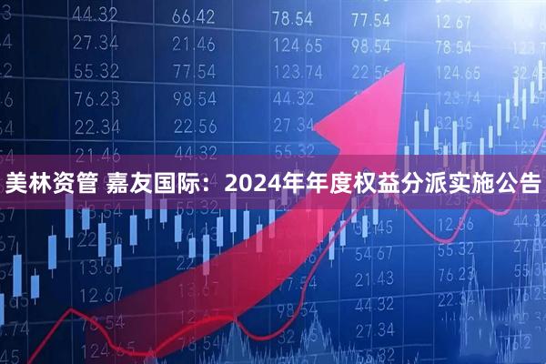 美林资管 嘉友国际：2024年年度权益分派实施公告