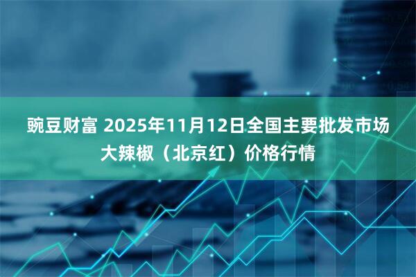 豌豆财富 2025年11月12日全国主要批发市场大辣椒（北京红）价格行情