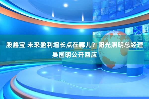 股鑫宝 未来盈利增长点在哪儿?阳光照明总经理吴国明公开回应