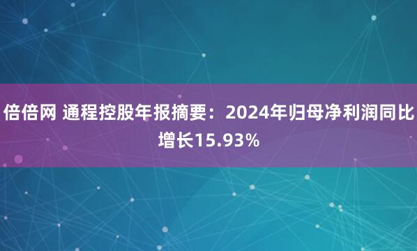 倍倍网 通程控股年报摘要：2024年归母净利润同比增长15.93%