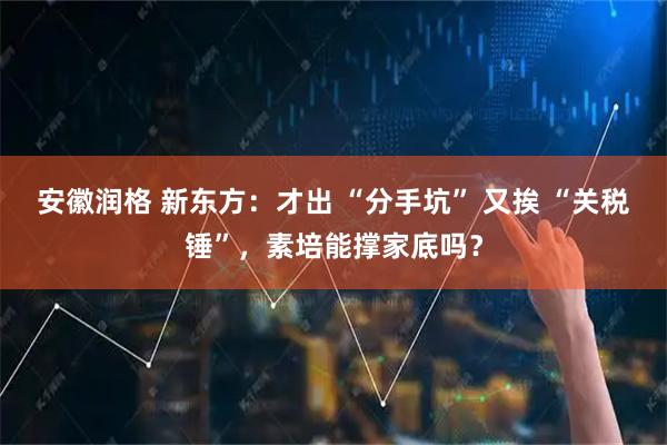安徽润格 新东方：才出 “分手坑” 又挨 “关税锤”，素培能撑家底吗？