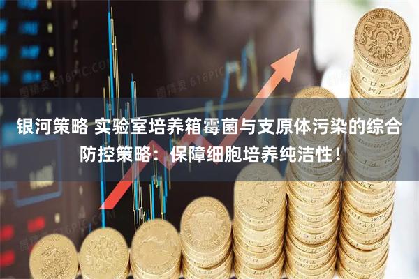 银河策略 实验室培养箱霉菌与支原体污染的综合防控策略：保障细胞培养纯洁性！