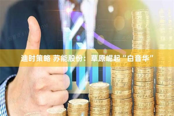 迪时策略 苏能股份：草原崛起“白音华”