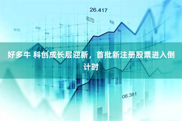 好多牛 科创成长层迎新，首批新注册股票进入倒计时